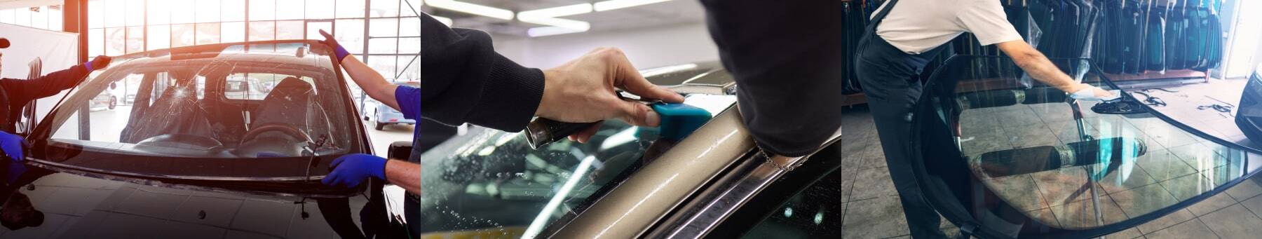 カーペンタリア