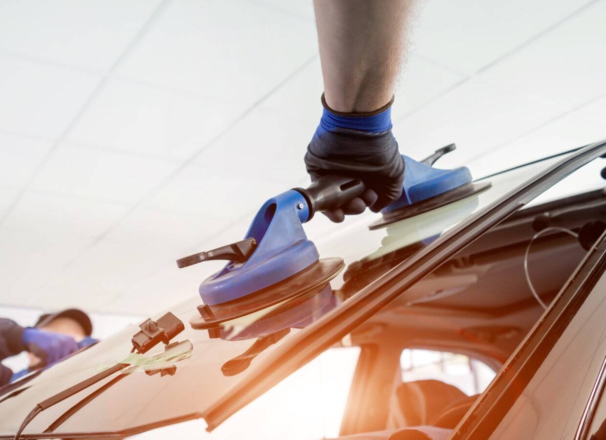 カーペンタリア